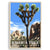 Joshua Tree National Park, National Parks Wall Poster