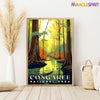 Congaree National Park, National Parks Wall Poster